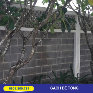 Gạch bê tông giá tốt