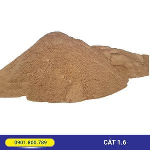 Cát Nam Thành mô đun 1.6