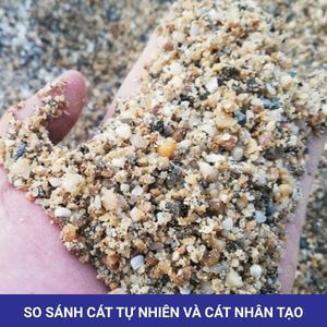 So sánh cát tự nhiên và cát nhân tạo