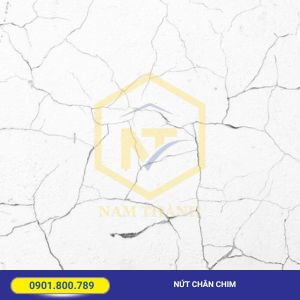 Hạn chế lỗi nứt tường