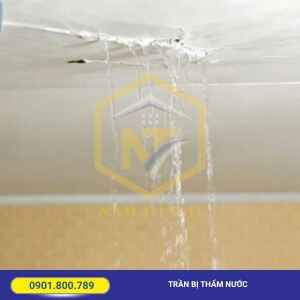 Thấm nước trần nhà